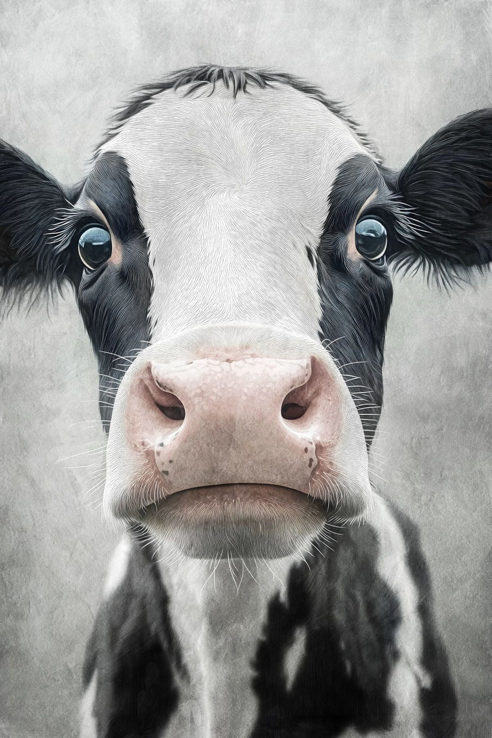 Startled Cow