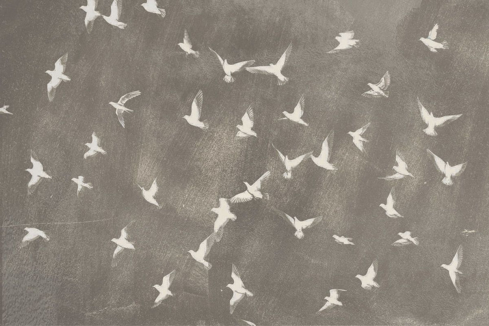 Soaring Flock Of Birds
