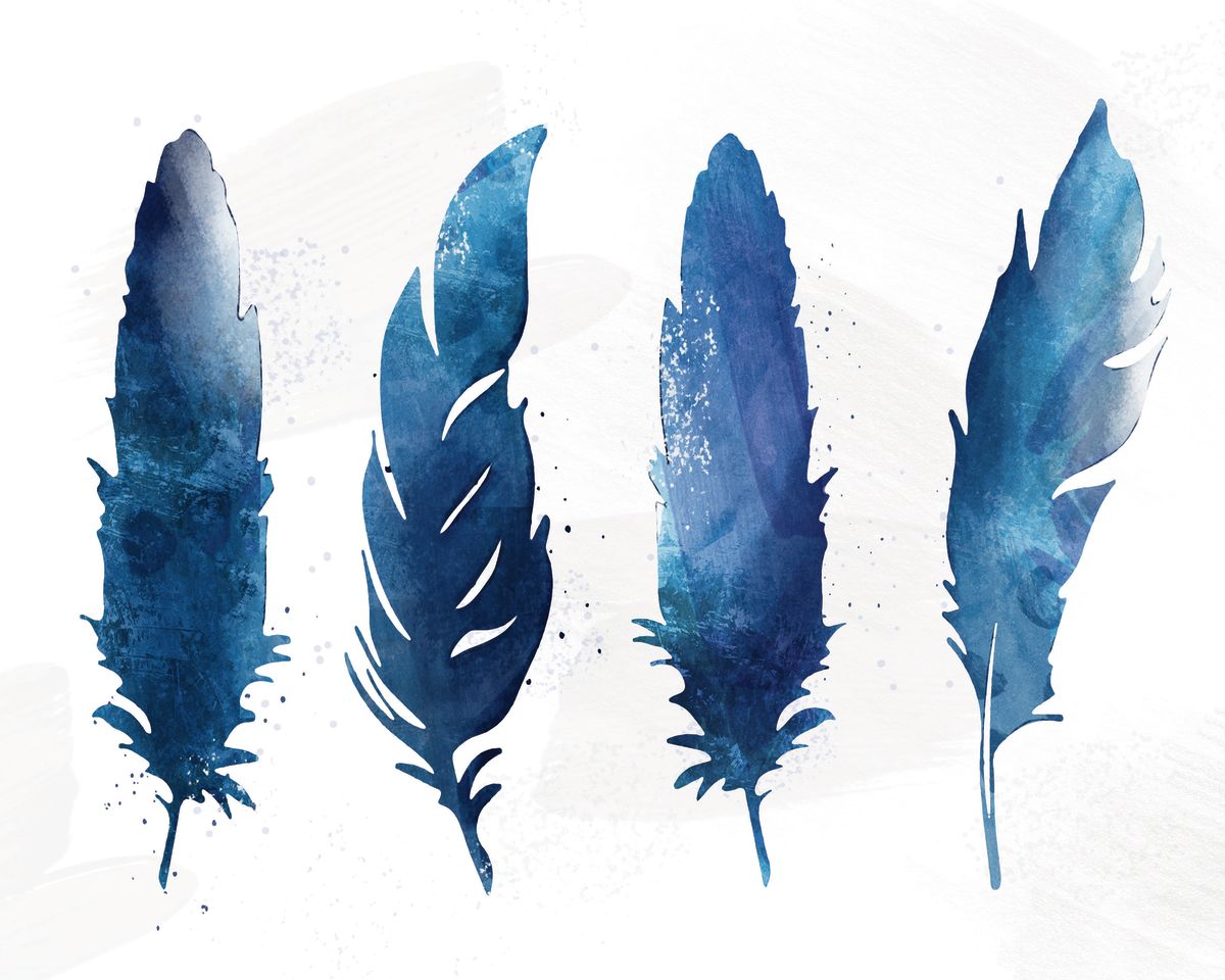 Feathers Watercolor Silhouette