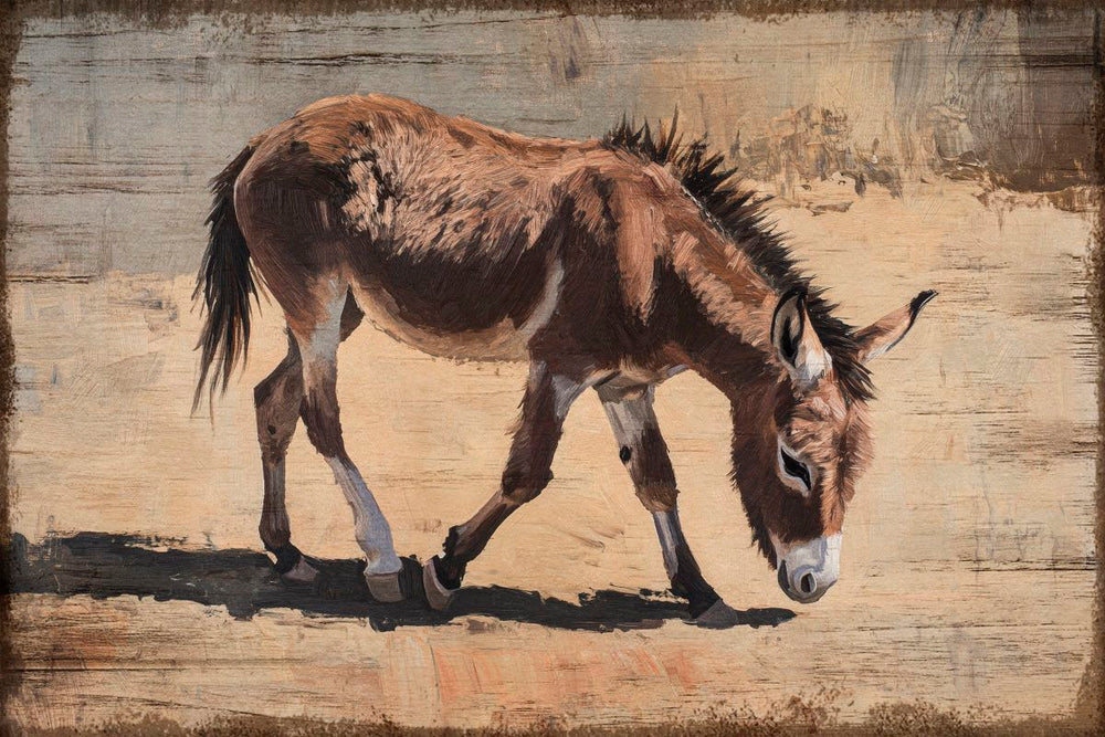 Baby Donkey Taking Steps