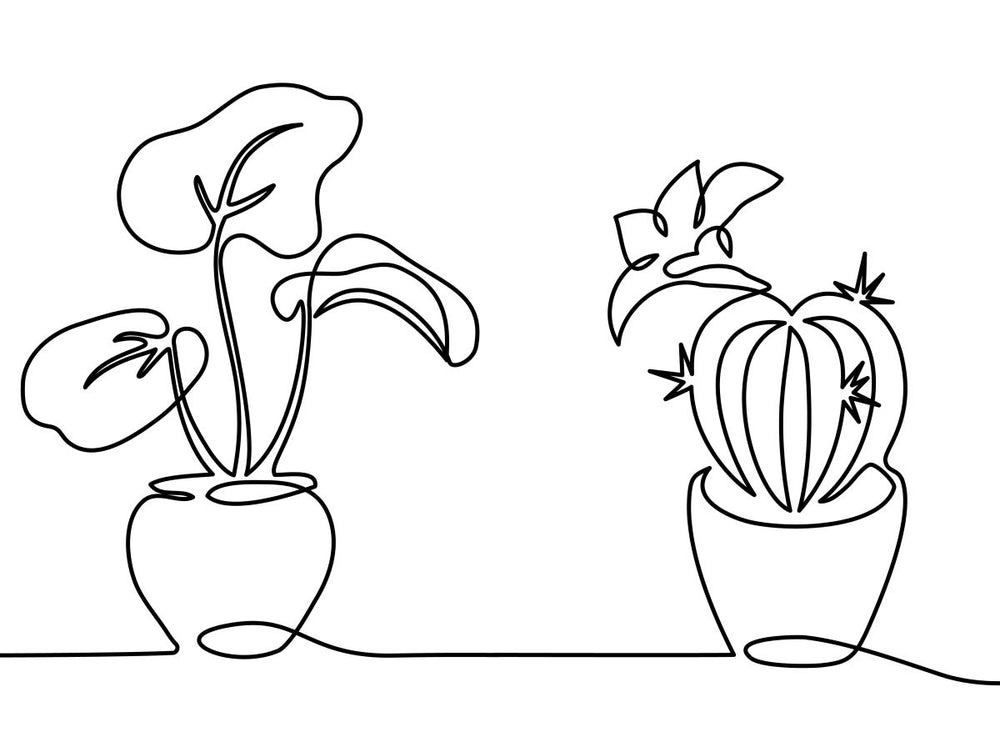 Botanical Plant Lines