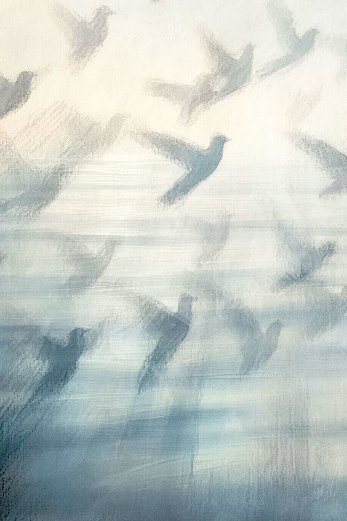Shadows Of Flying Birds