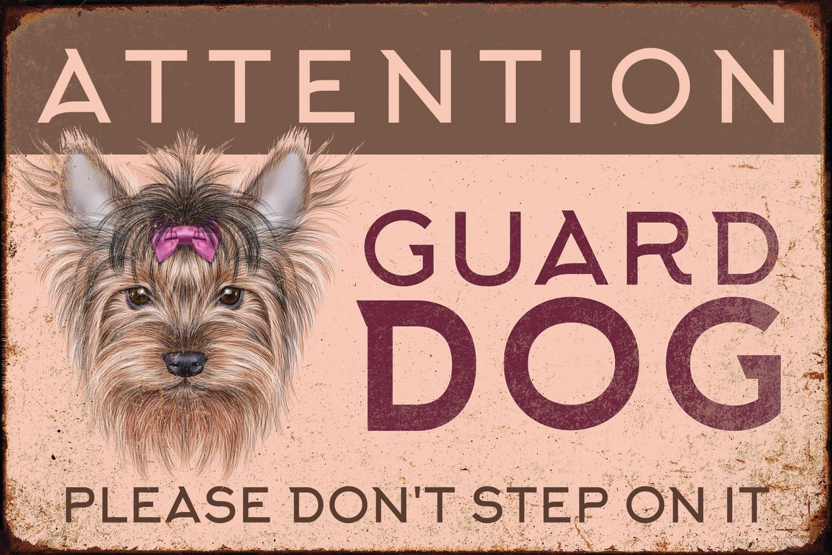 Attention Guard Dog