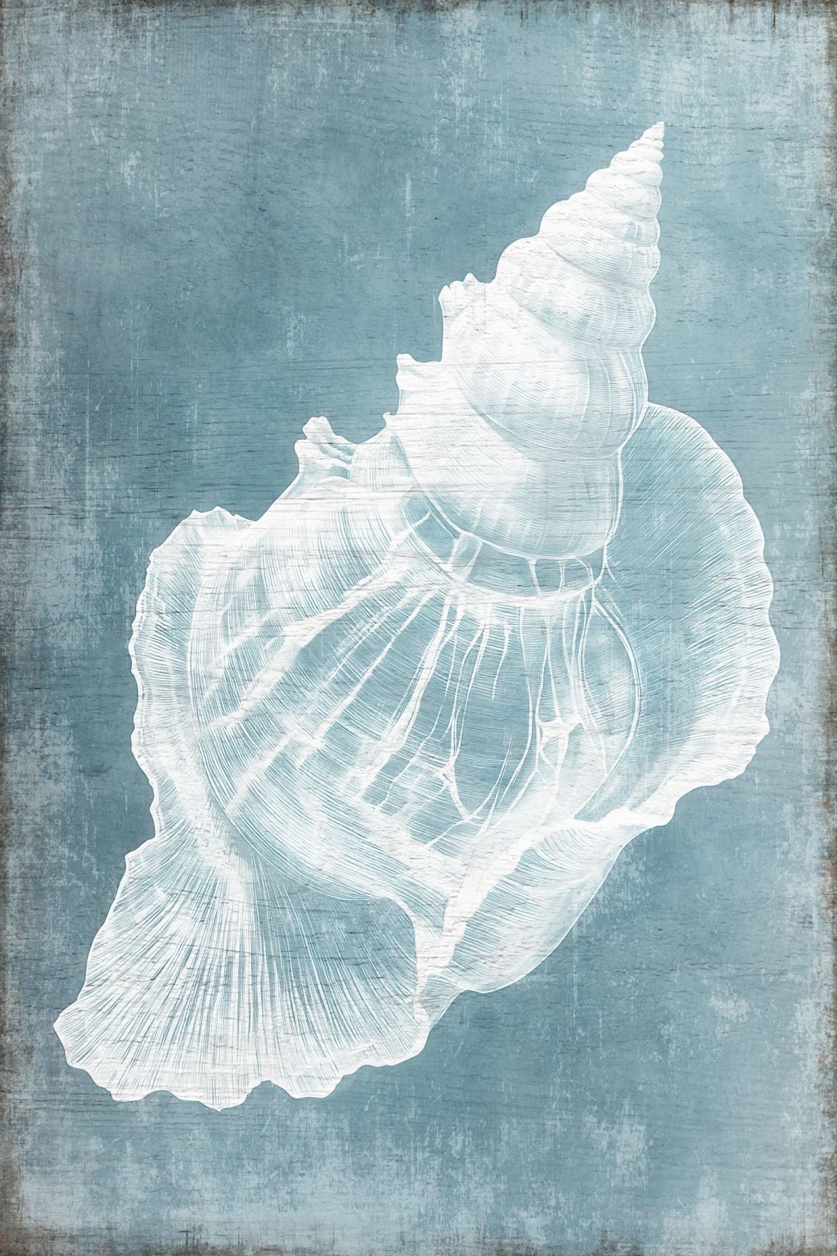 Grunge Vintage Shell Wall Art