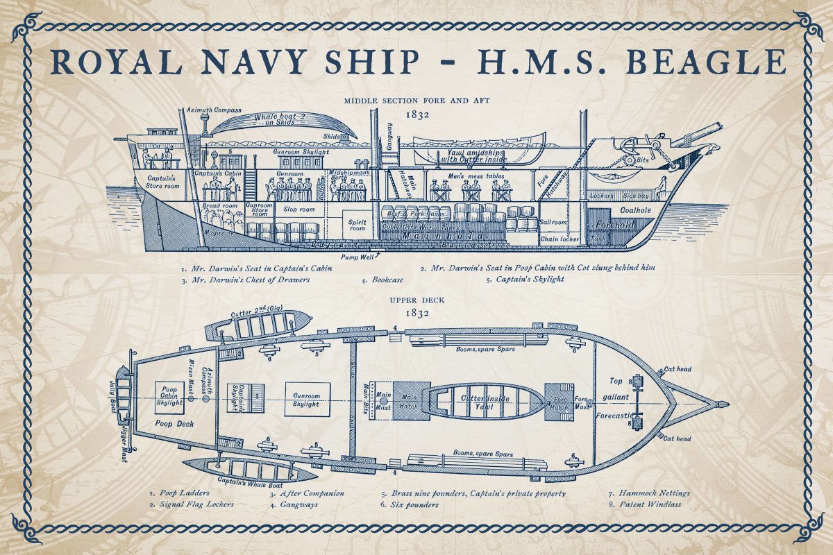 Royal Navy Ship - H.M.S Beagle Wall Art
