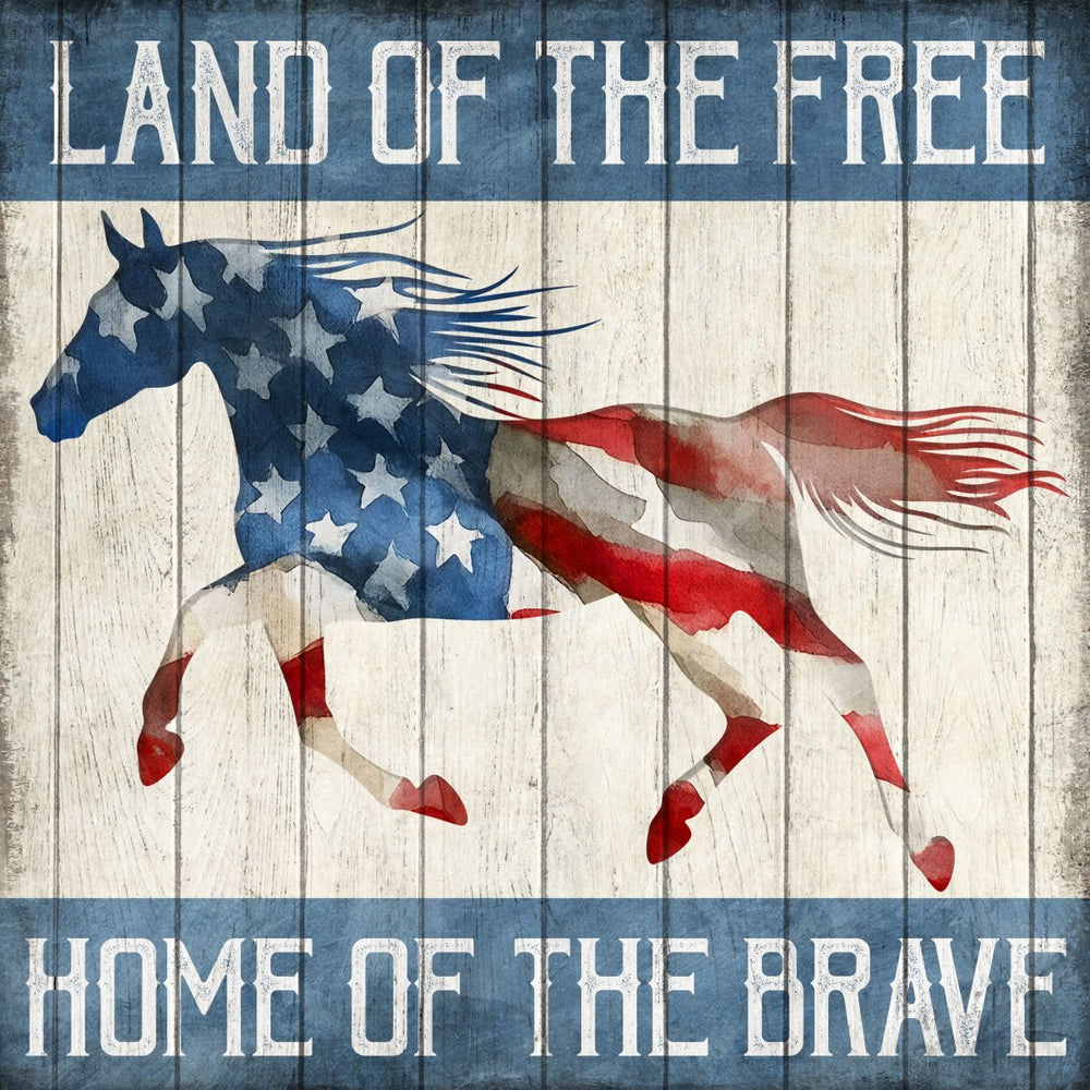 Land Of The Free Home Of The Brave - Horse