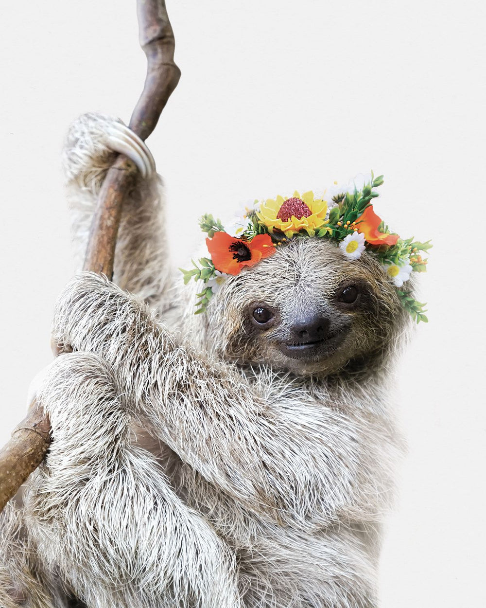 Flower Crown Sloth