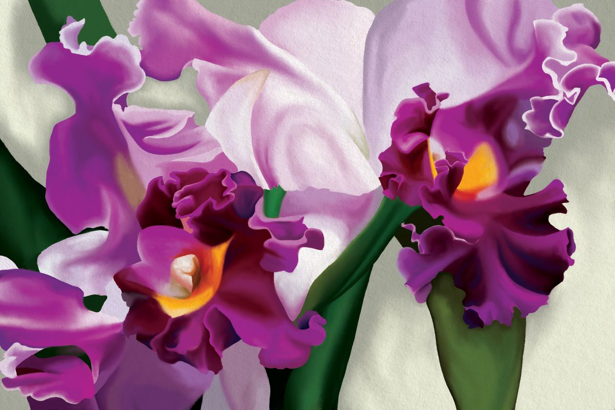 Wild Lavender Orchids