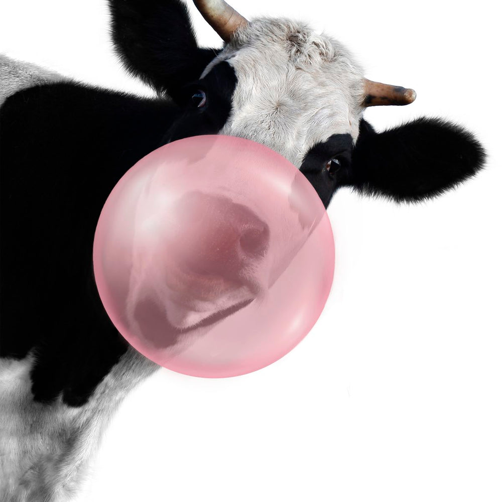 Bubble Gum Cow