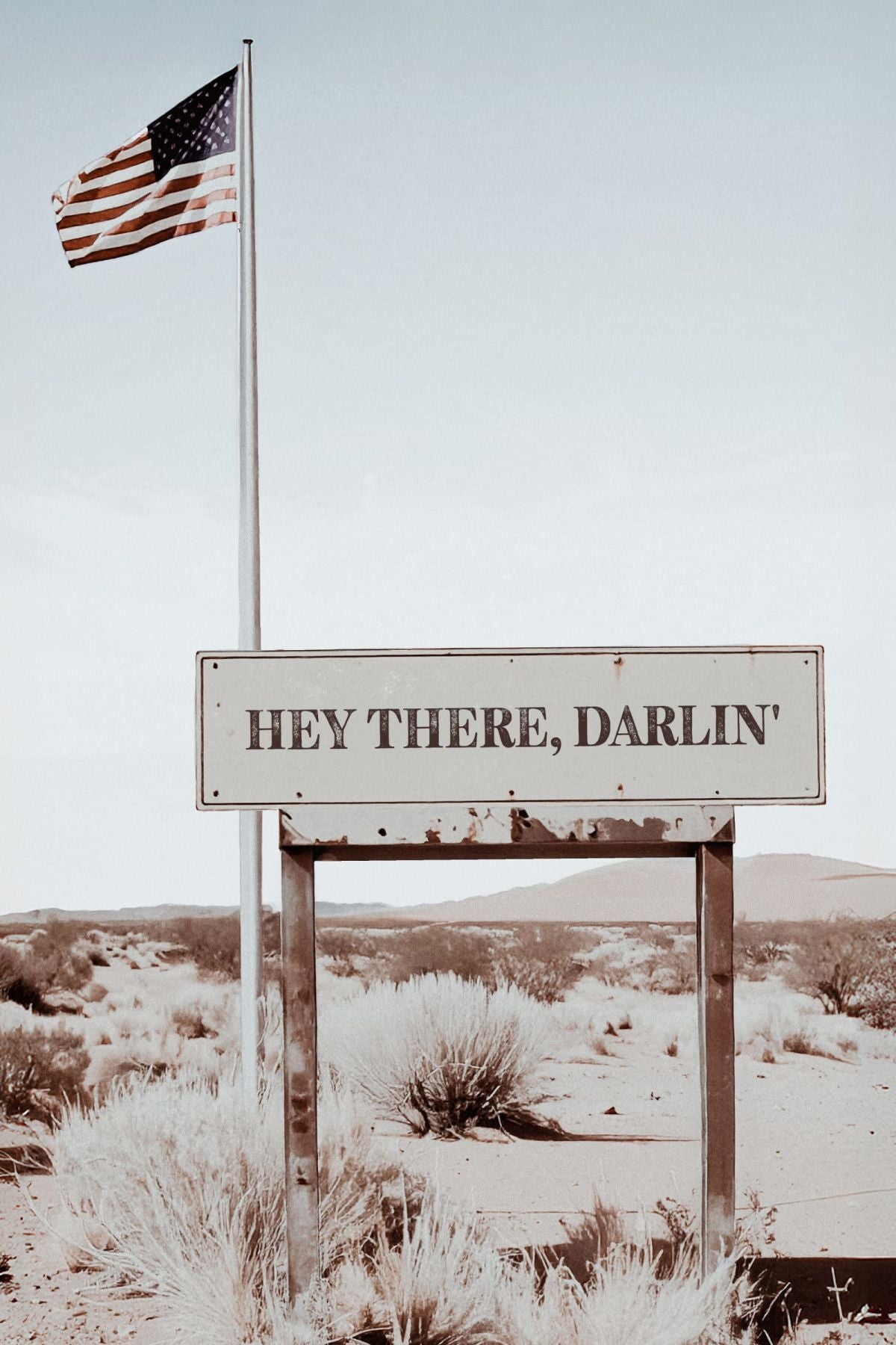 Hey There Darlin' US Road Sign