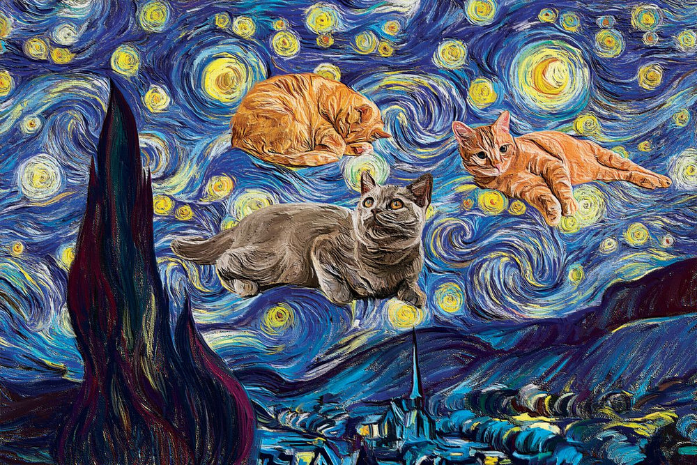 Lazy Cats Starry Night