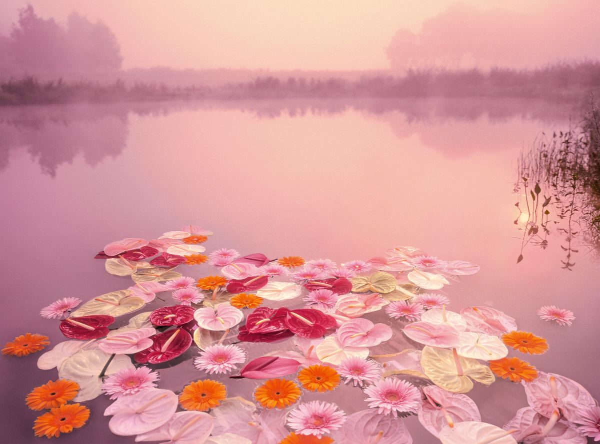 Floral Pink Lake