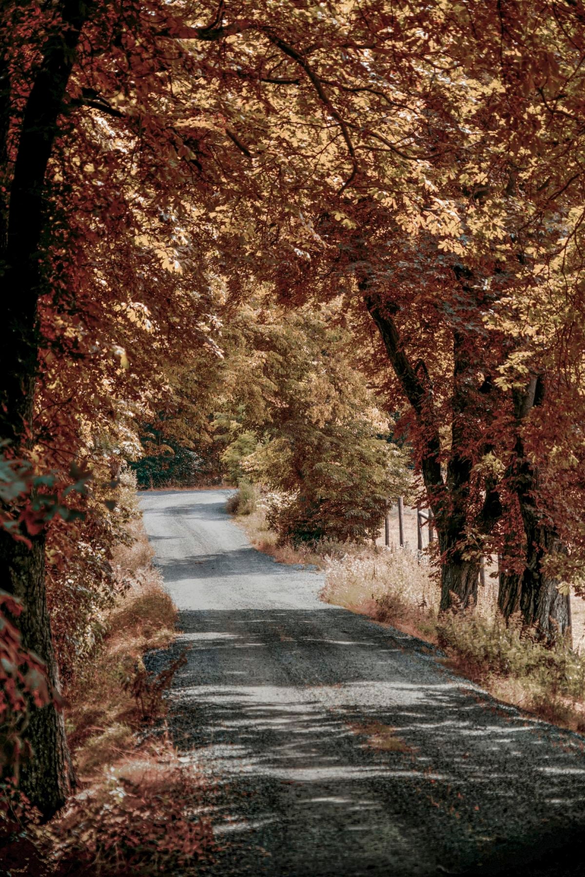 Fall Path