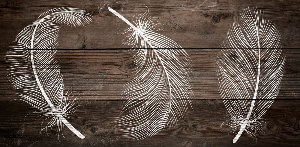 White Feathers On Wood