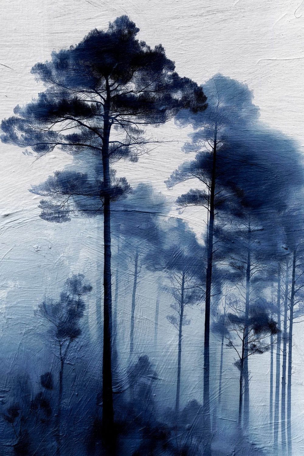 Tall Trees In The Dark