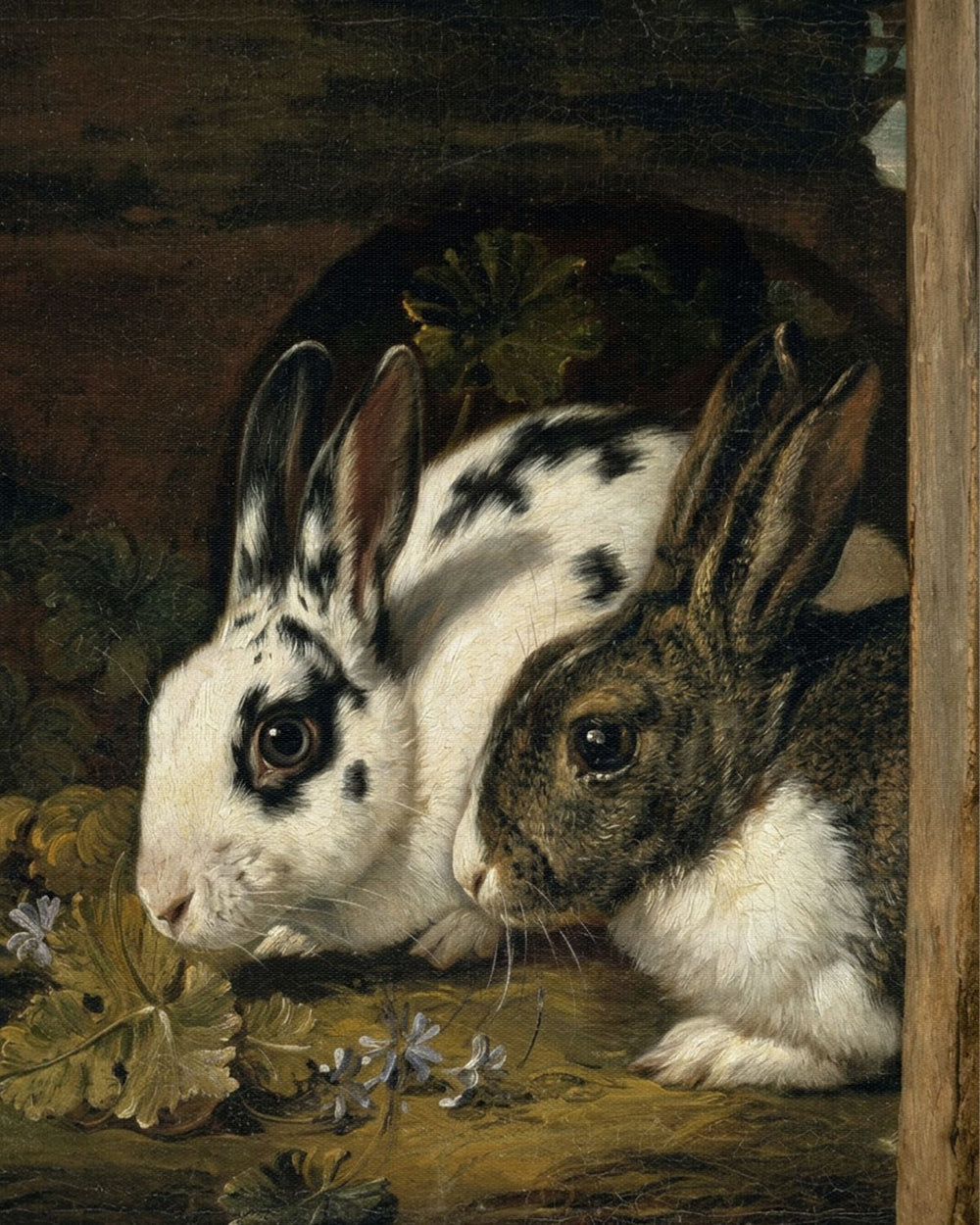 Spotted Rabbit Duo