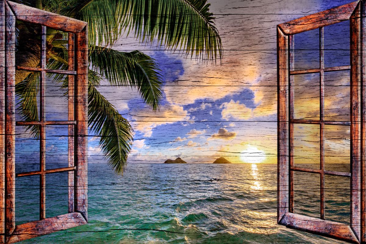 Wooden Tropical Window View