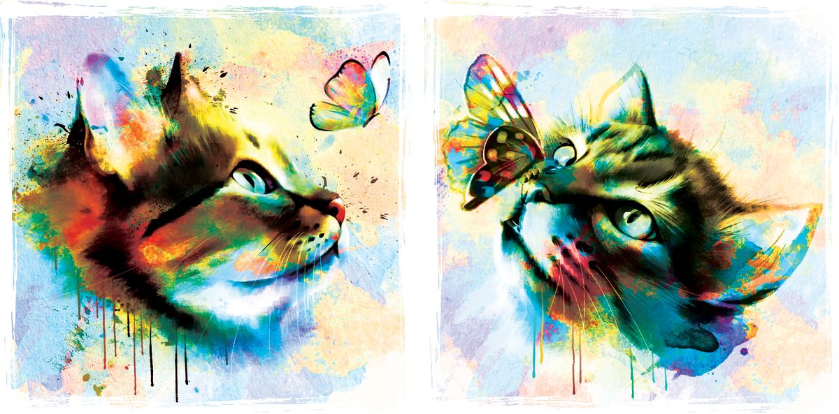Butterfly And Cat Paint Splash