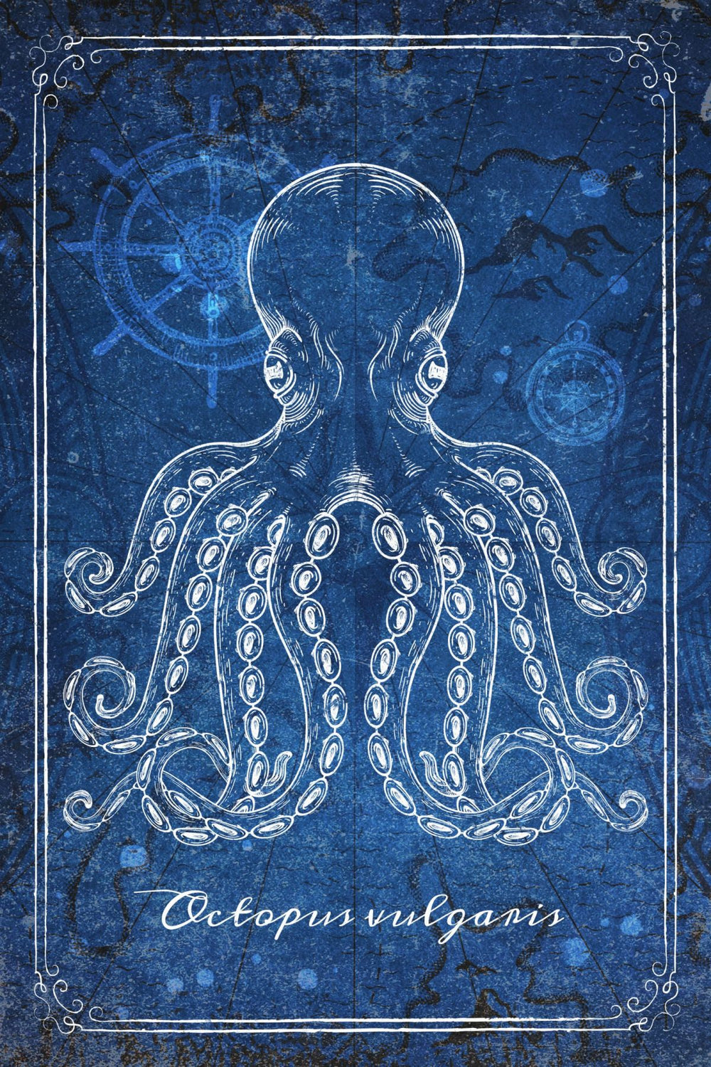 Blue Common Octopus Wall Art