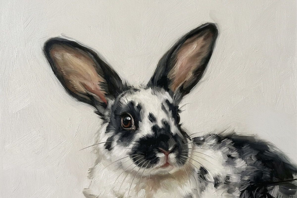 Spotted Black and White Rabbit Portrait