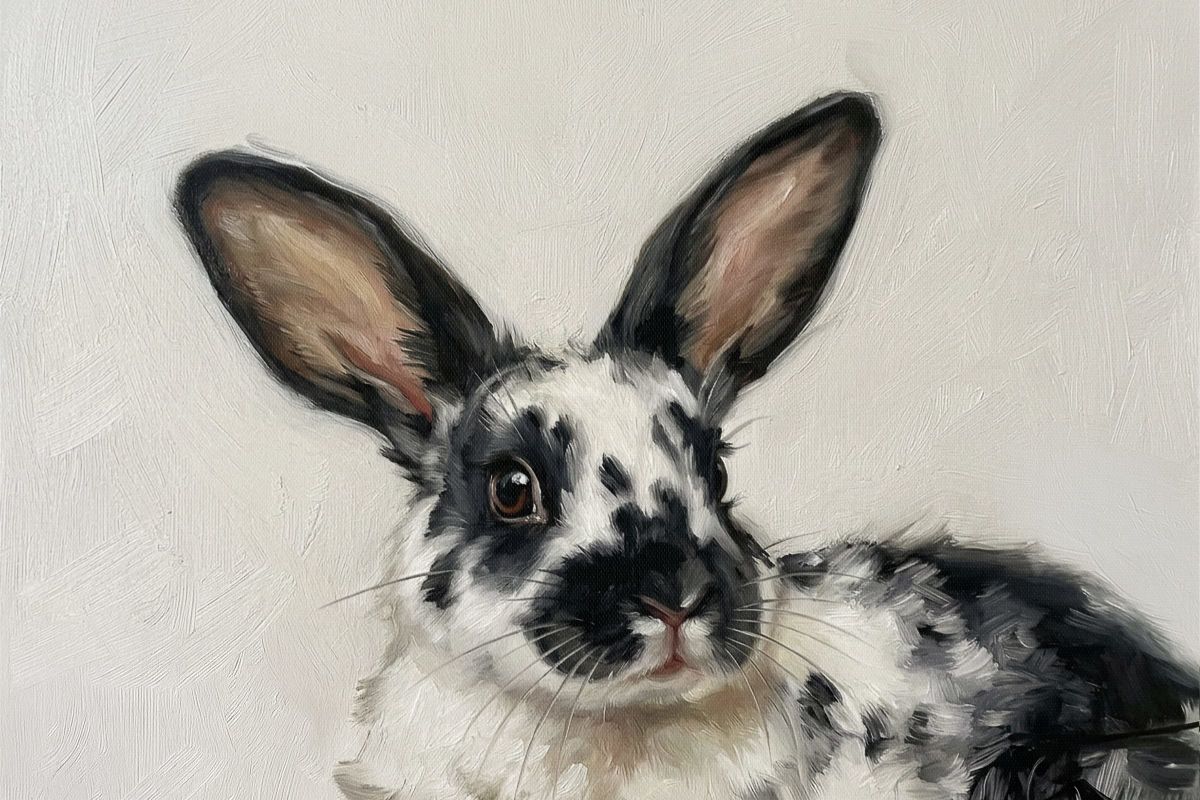 Spotted Black and White Rabbit Portrait