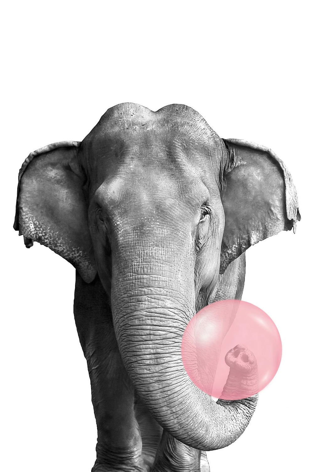 Elephant Bubble Gum