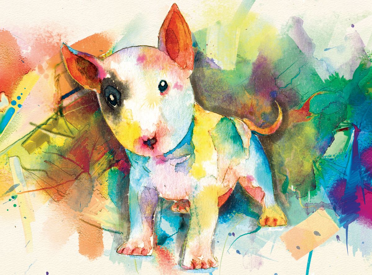 Bull Terrier Paint Splash