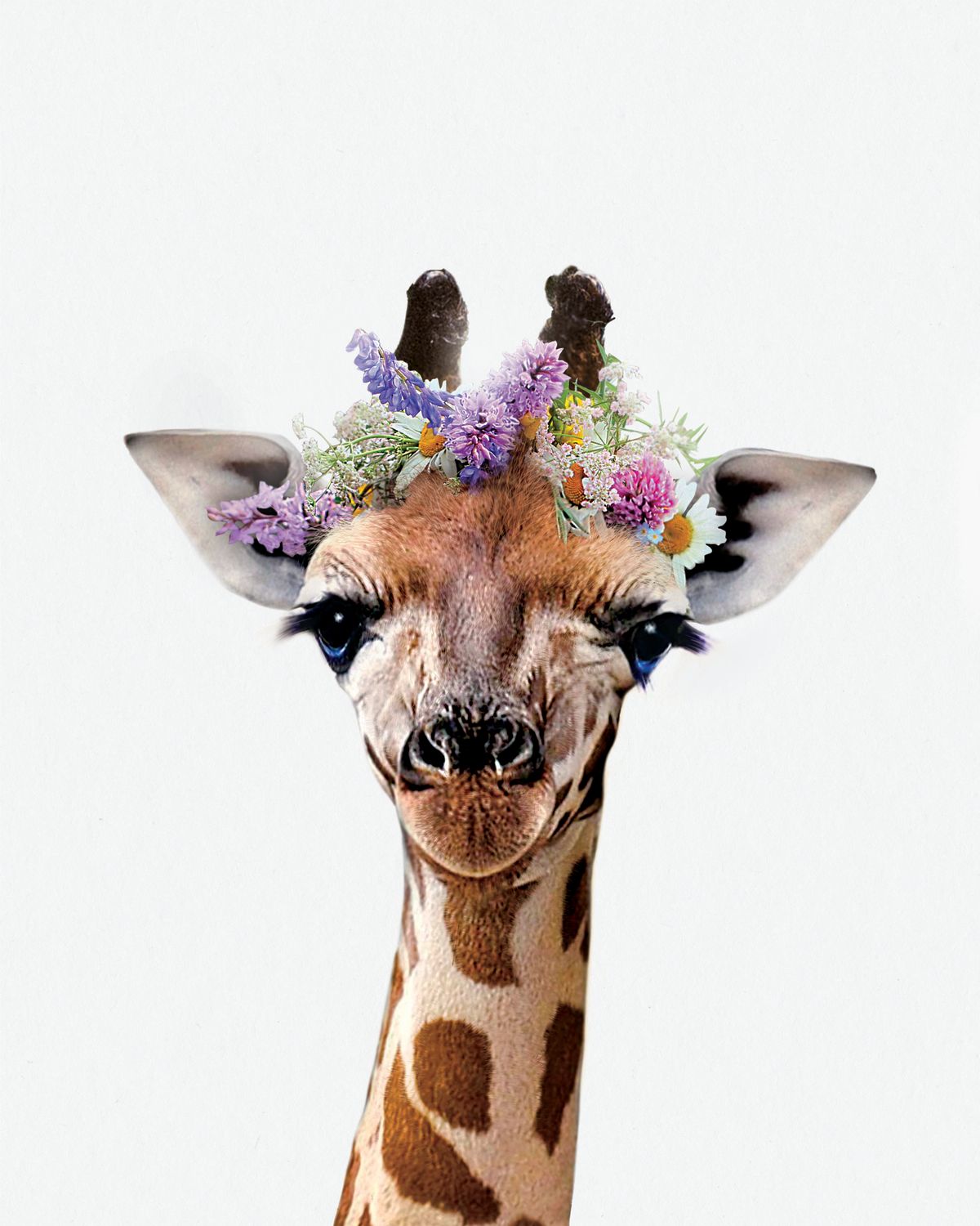 Floral Crown Giraffe