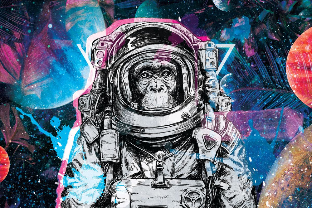 Chimp Astronaut