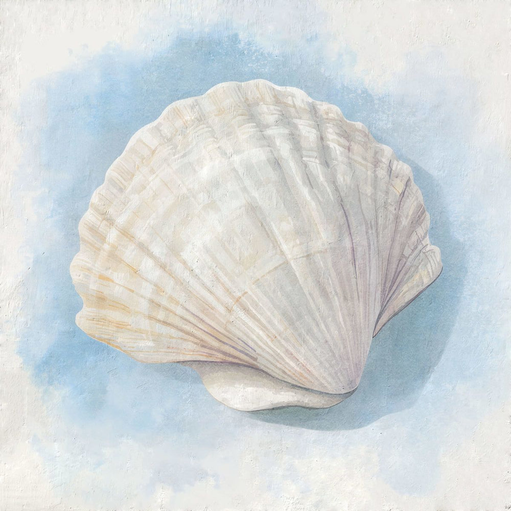 White Shell