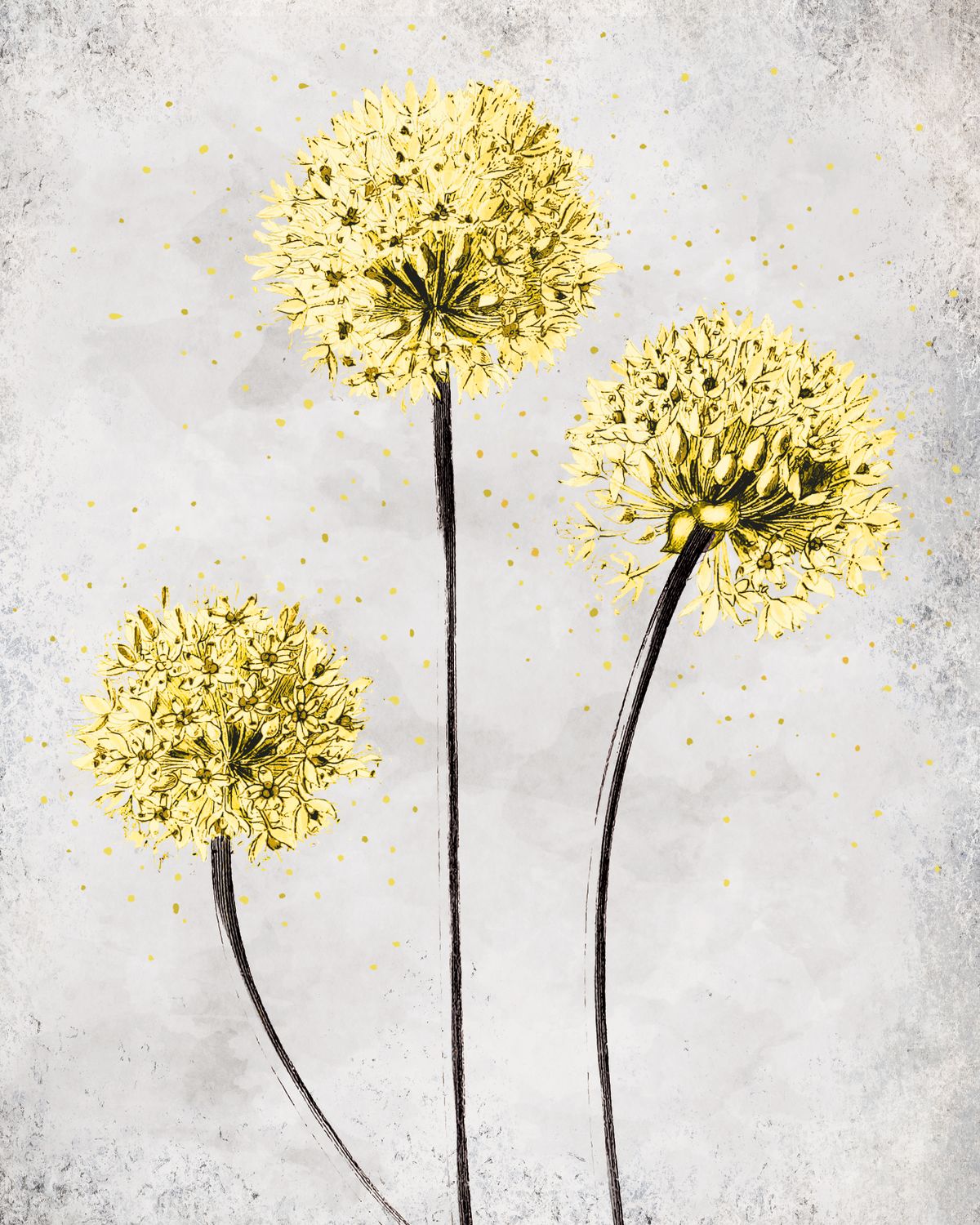 Three Yellow Dandelions
