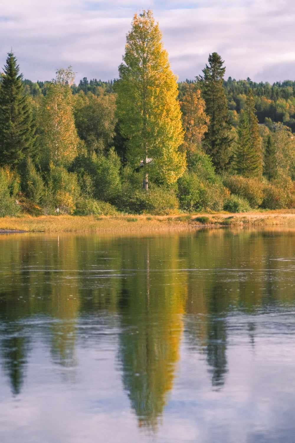 Fall Is Coming
