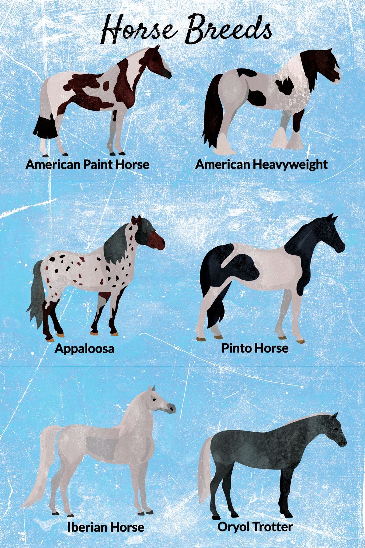 Horse Breeds Chart II