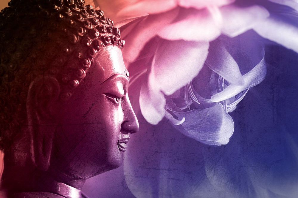 Buddha And Blossom