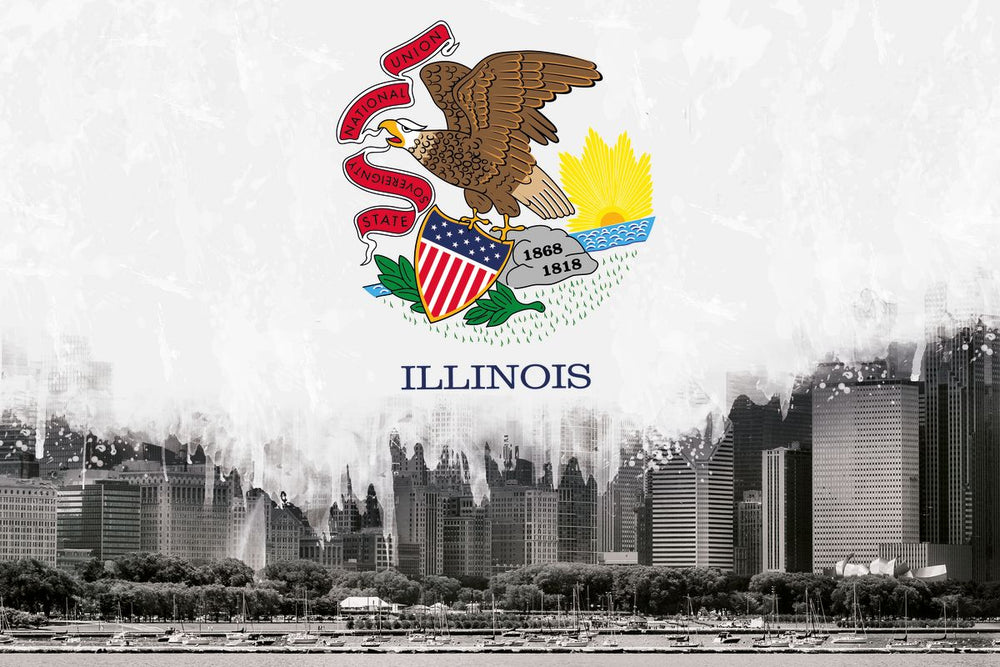 Illinois State Flag