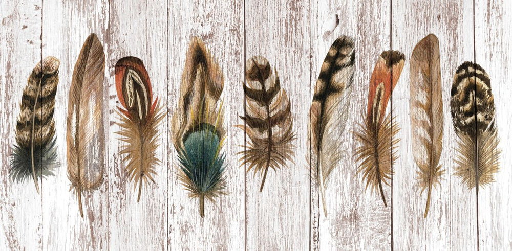 Brown Feathers On Wood