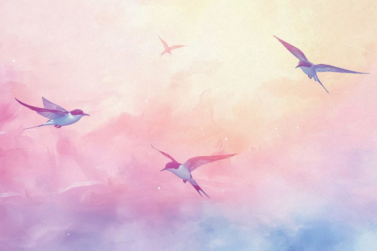 Songbird Social Club