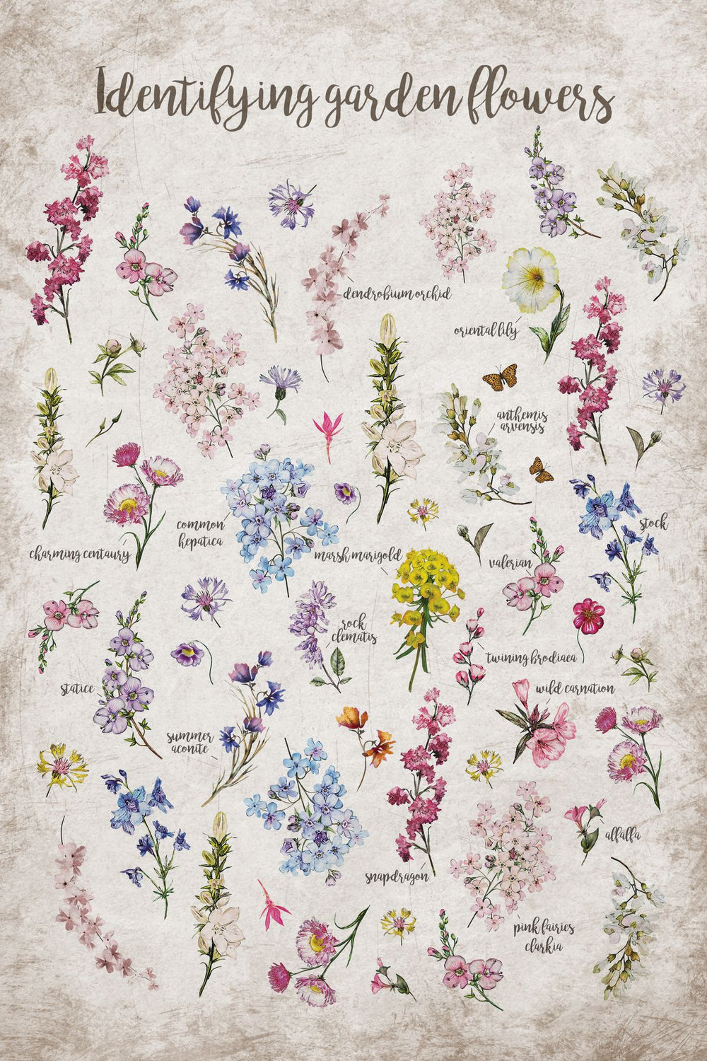 Flower Identification Chart