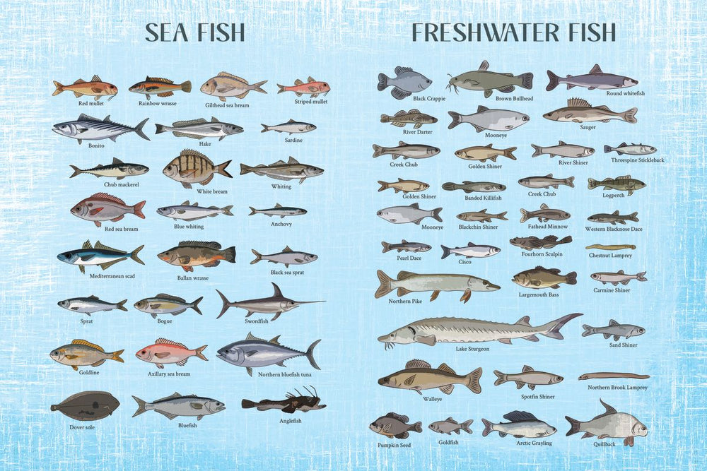 Fish Types Chart – Pineapple Licensing