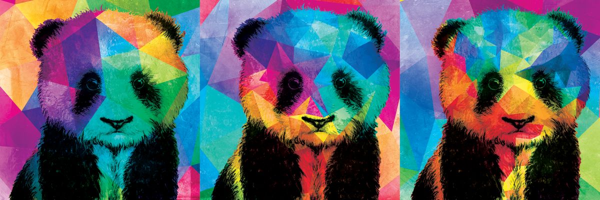 Geometric Colored Pandas