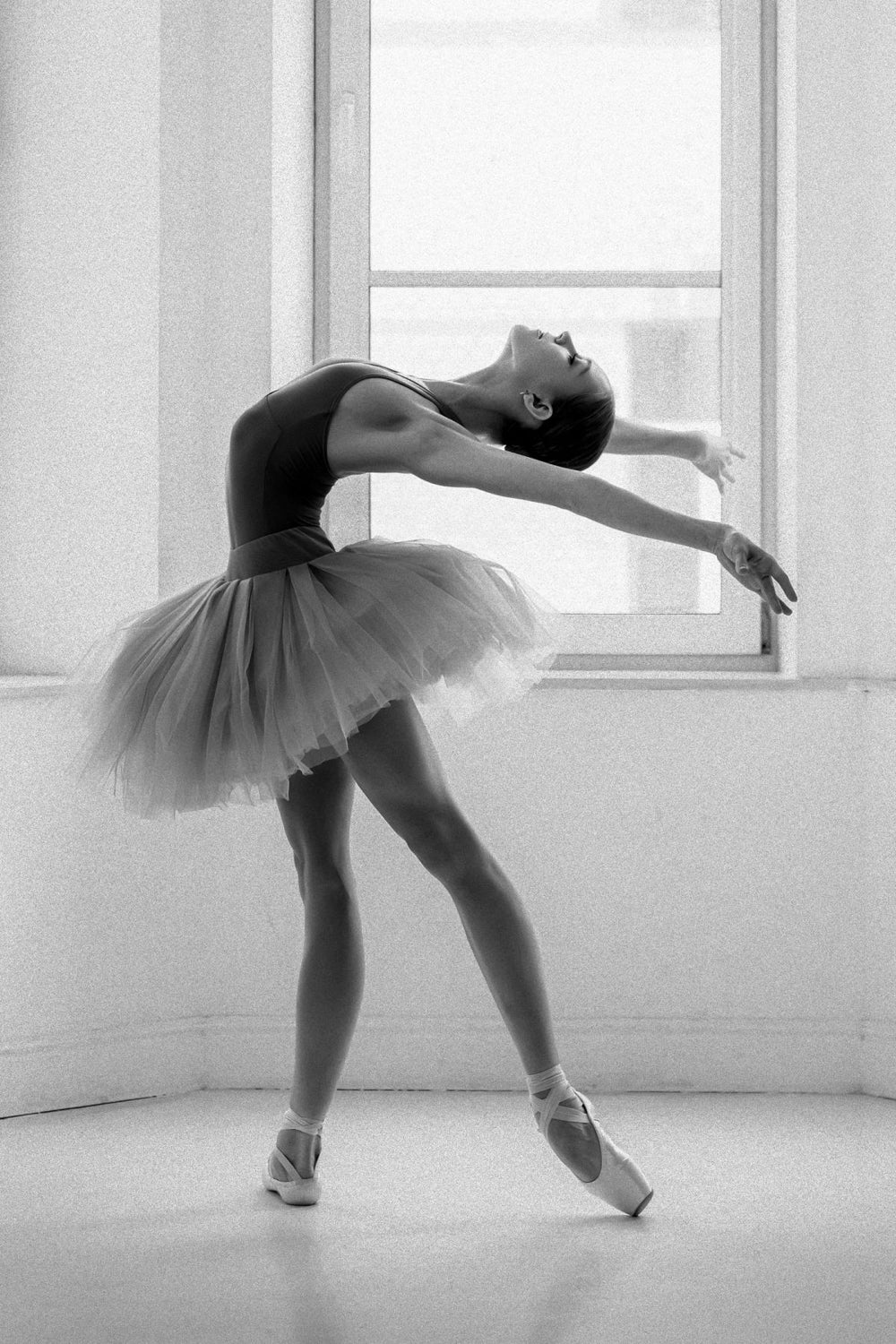 Elegant Ballet Move