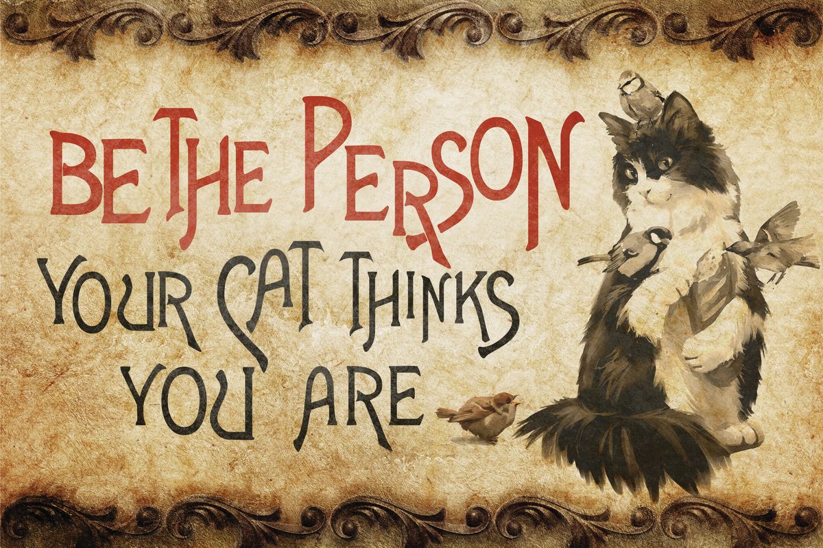 Be The Person Your Cat Thinks You Are