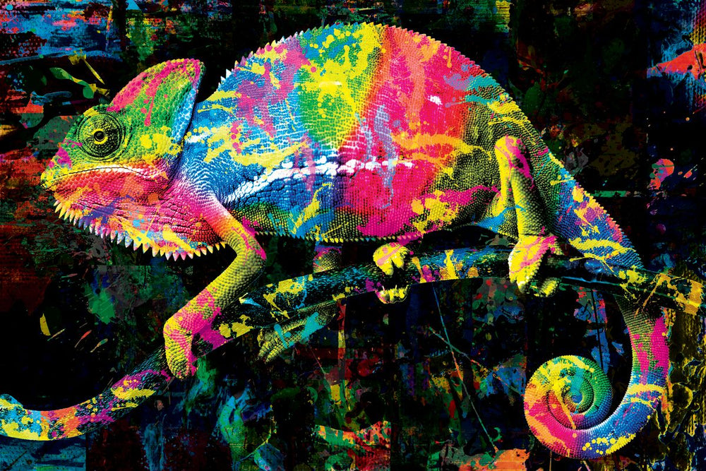 Wildlife Chameleon Paint Splash