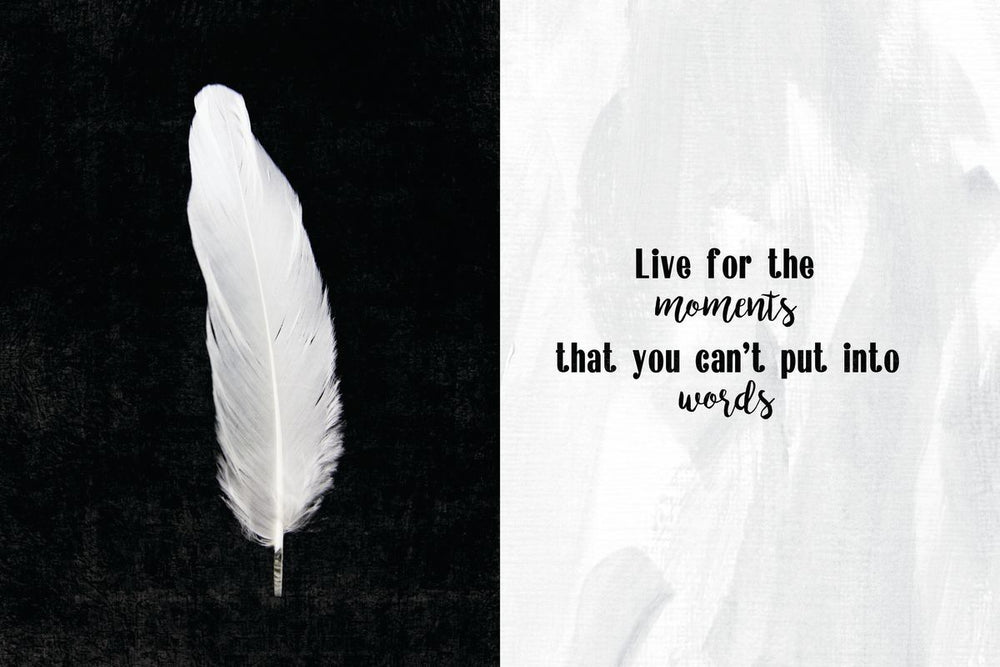 Live For The Moments White Feather