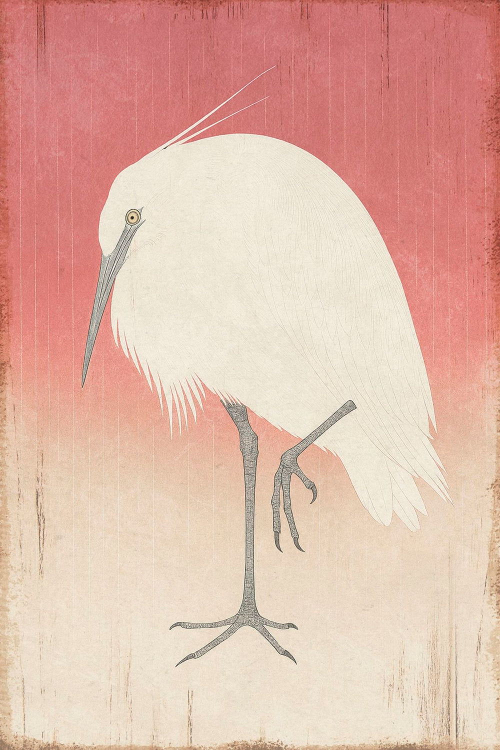 A Wading Egret
