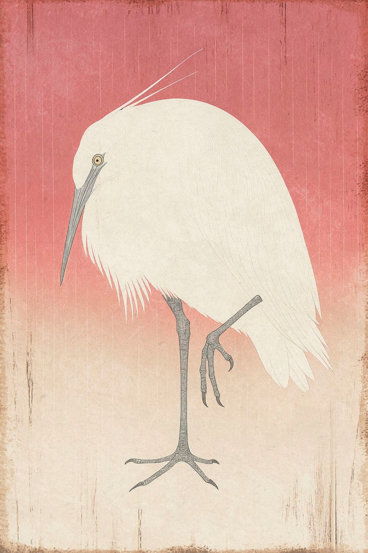 A Wading Egret