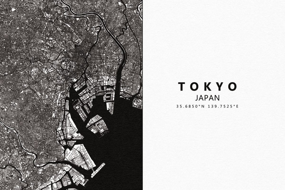 Monochromatic Tokyo Map