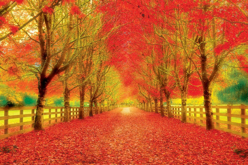 Saturated Autumn Landscape