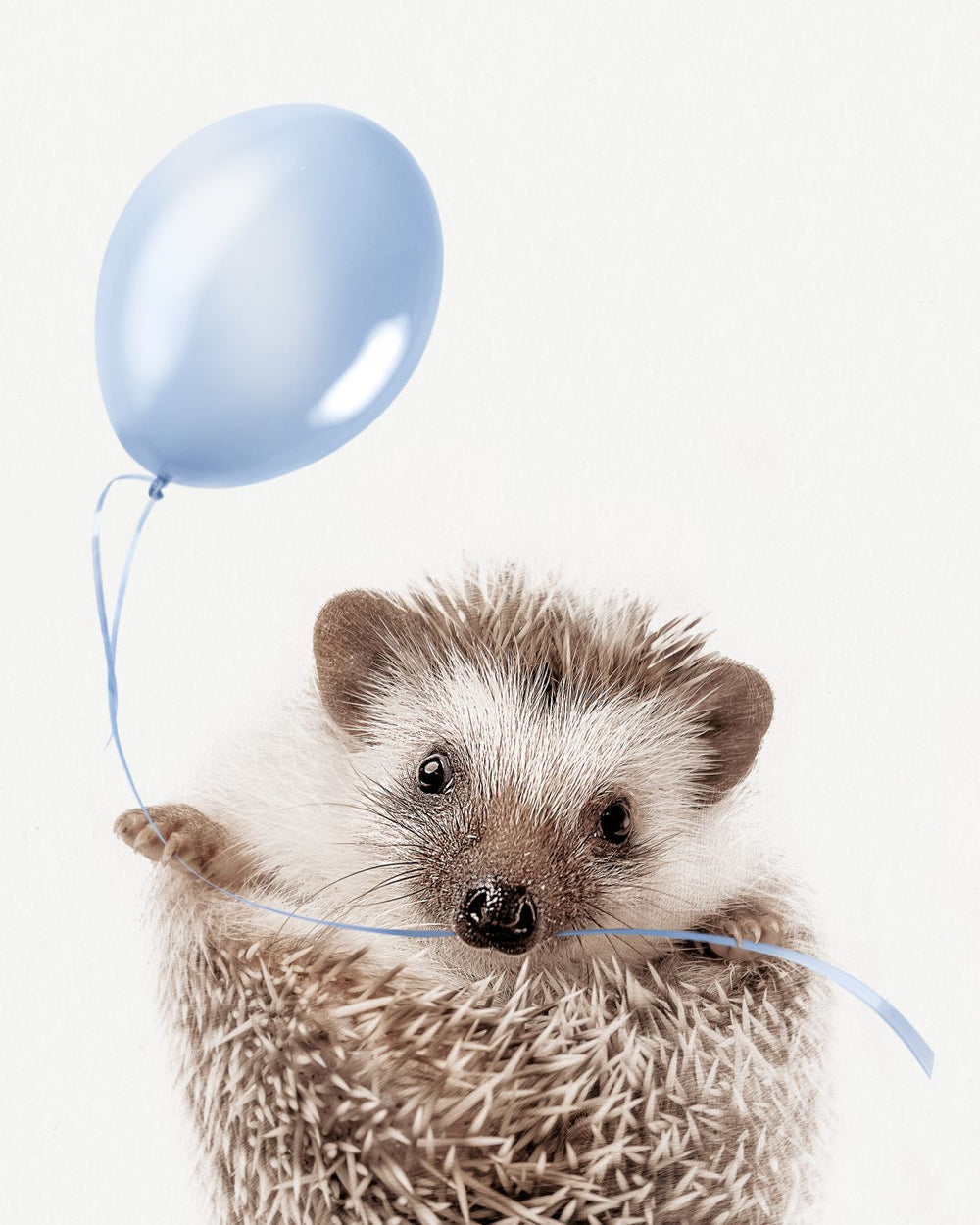 Hedgehog And Blue Balloon