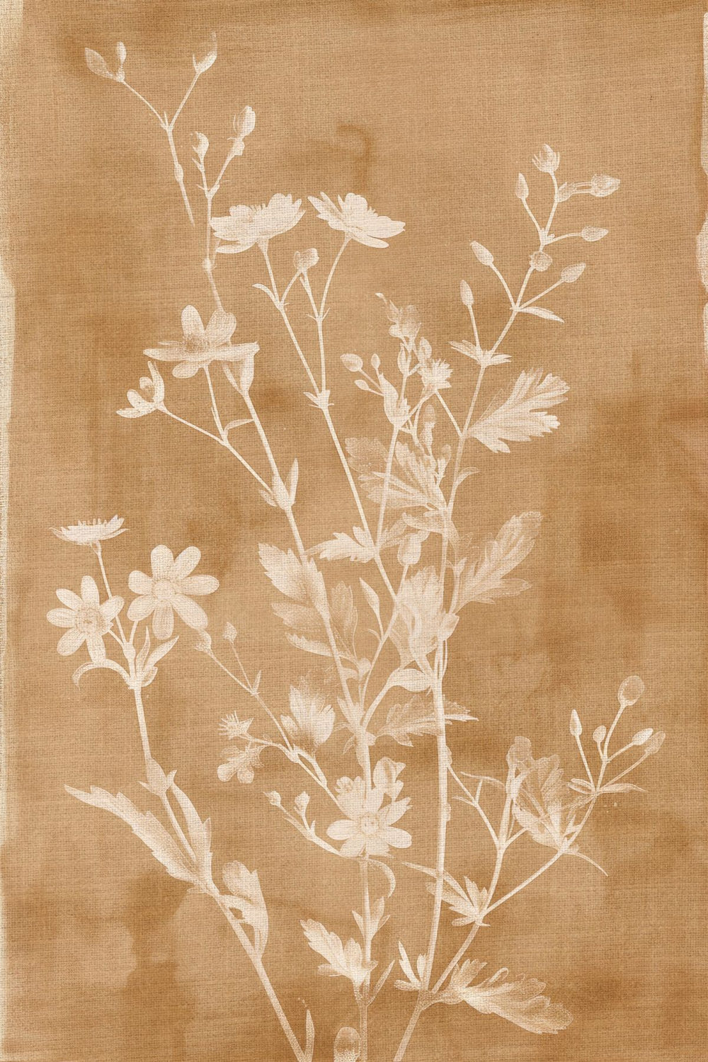 Lush Botanicals Of Earth II